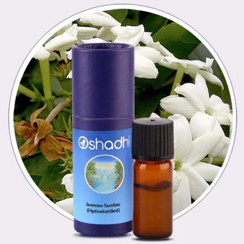 Jasmine Sambic Oil